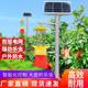 Solar Insect-killing Lamp Agricultural Insect-killing Lamp Outdoor Waterproof Orchard Frequency Vibration Type Insect-catching Lamp Light Control Breeding Trap Lamp