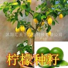 ��ˮ���ʷN�������ʷN�������̨�҃��²ɷNֲ�Y���ϱ�������N