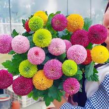 NƹҾСrļB׷N҃⻨ԻNӻ