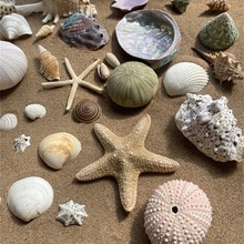 Ȼؐ~쾰Сݚֹb˱ؐ~ľзˇƷ