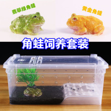 ���ܻ��w������ܾG�ܽ�������ܼZ������ܻ�����B�����b