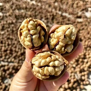 ������óԱ�Ƥ���ҟo�����½�185��Ƥ�����ЋD������ʳ���_