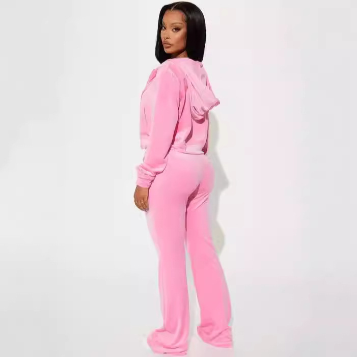Women's Clothing fashion casual velvet trousers suit hooded two piece suit _voghion.com