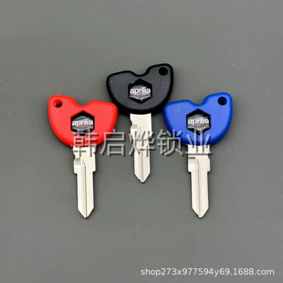 Embryo Spare Key — Motorcycle Key