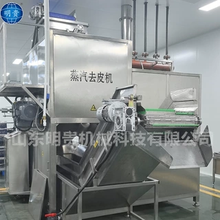果蔬蒸汽去皮机 马铃薯自动脱皮设备 红薯快速剥皮机器