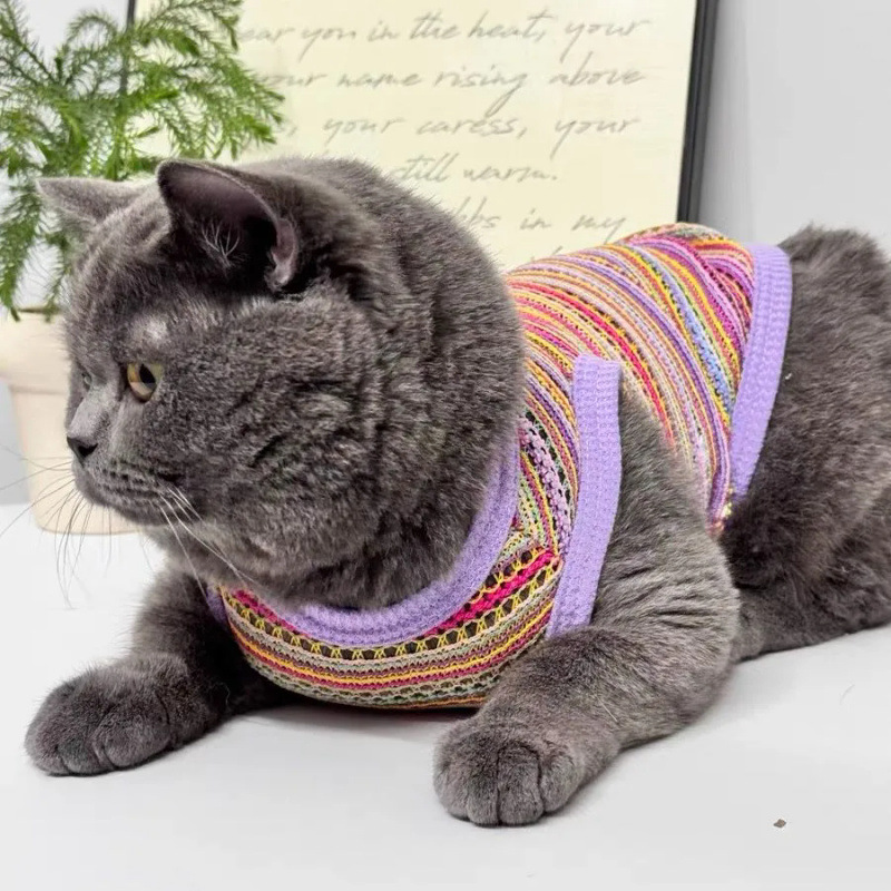 Perros de mascotas primavera y verano ventilador hueco chaleco de trenzado ropa delgada multicolor dorada capa azul muñeca de gato