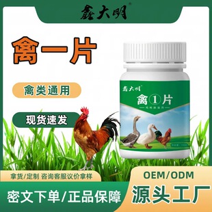 �u��ȫ����һƬ�B�uș�u����ð������ϡ�����u���Z����uș��ș