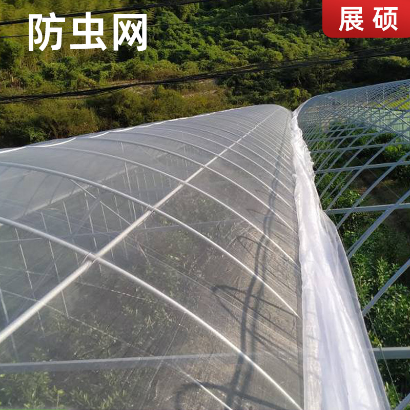 防虫网大棚配件防护大孔压膜网加厚加密农用蔬菜果树园苍蝇网批发