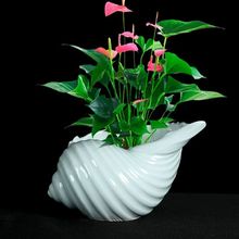 �t�ƌ����մɻ�����Ä��₀���҃����漪���t�����mˮ���m������