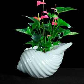 红掌专用陶瓷花盆家用创意个性室内桌面吉利红蝴蝶兰水仙兰花花盆