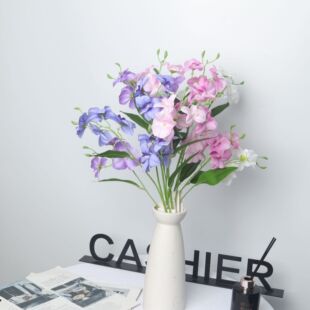 ����С�n�m�ذ��n�m���滨�����Ҿ�ܛ�b�����b[����ˇ�廨����