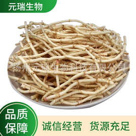 植物提取液厂家直供 元瑞生物鱼腥草提取液 植物萃鱼腥草提取物