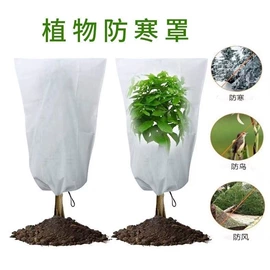 其他园林资材;木质工艺品;其它水族用品