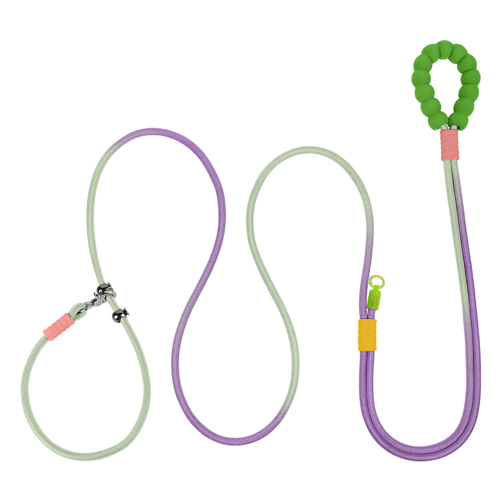 녹색 보라색 다채로운