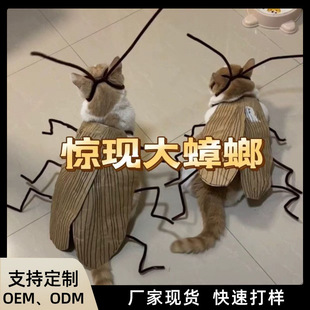 ؈�������������������l�y�ֹ�diy؈���·����ϰ��W�t؈�·�