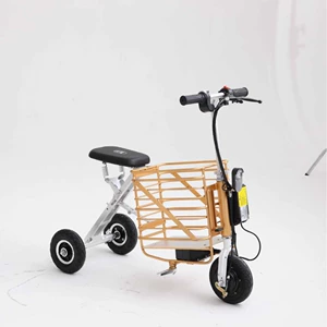 Mini Electric Scooter with Foldable Pedals, Mobility Scooter for the Elderly, Luggage Electric-Assisted Tricycle with Luggage Compartment