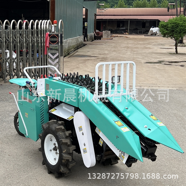 70d02306342ed284624aa6368543f0