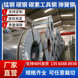 SAE1095高碳工具钢供应  SAE1095高碳弹钢带   SAE1095高碳弹钢板