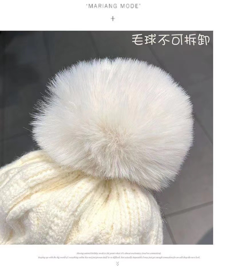 微信图片_20231121082656