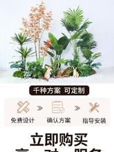 仿真假绿植植物景观造景仿真树假树装饰橱窗室内楼梯花池造景组合