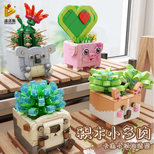 ����˹655009-16��ͨ�����������Ů��ƴ�bС�w��DIY�eľ���ģ��