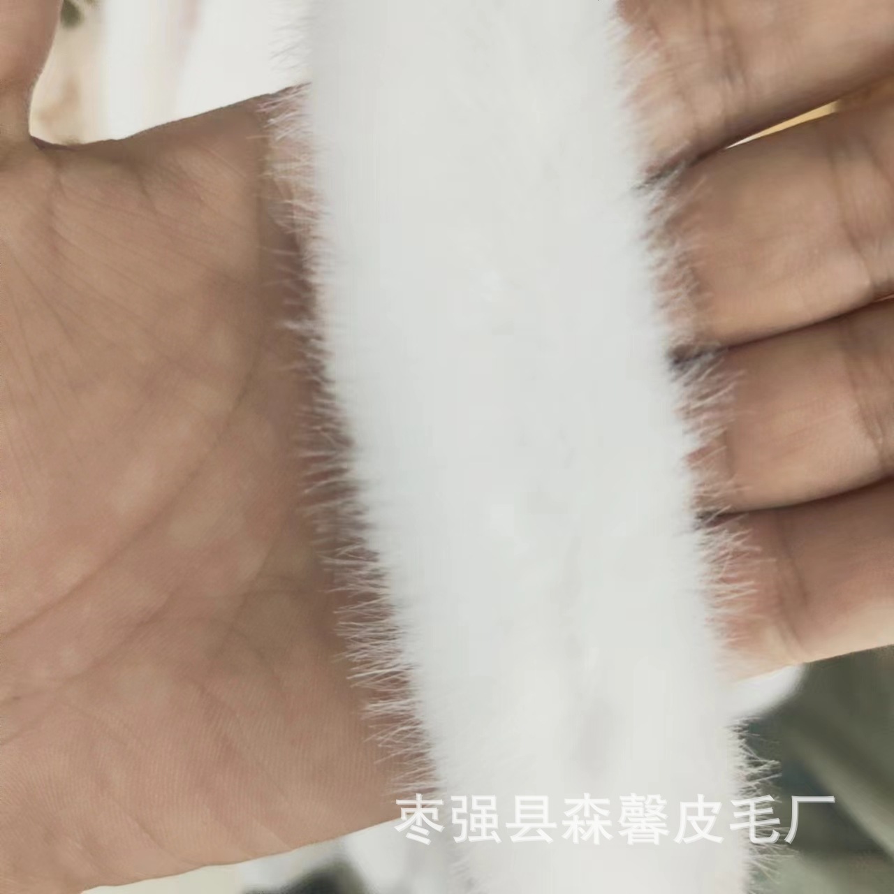 微信图片_20240424150128