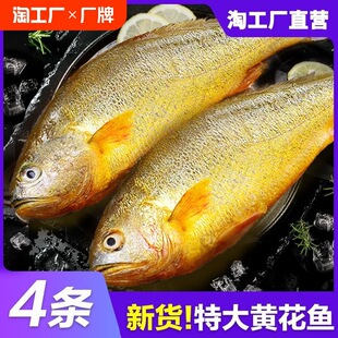 ���S���~���r������rˮ�a�r����r���~����С�S�~����g���~��