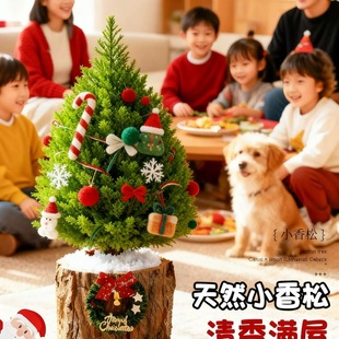 �}�Q��С�����������Gֲ�͏d����[���}�Q���b�С�Y��Ů���R��