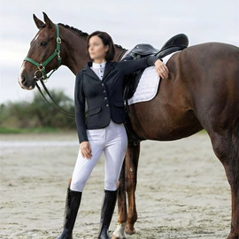 狗狗牵引;宠物项圈;宠物周边用品