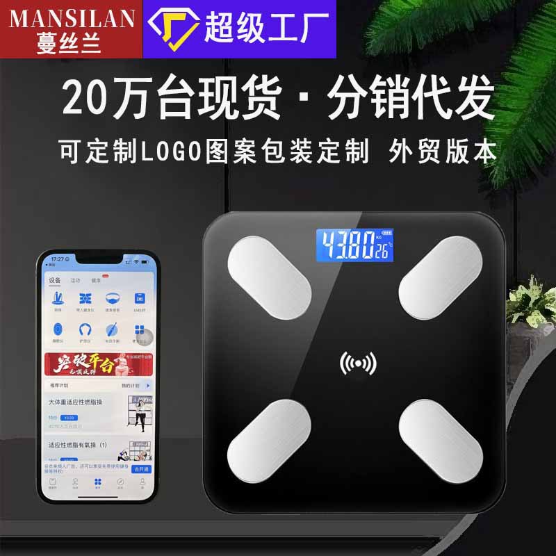 Smart Bluetooth Rechargeable Body Fat Scale, Small Household Weight Scale, Electronic Scale for Adults, Accurate Body Scale for Weight Loss