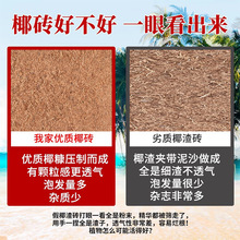 ��KҬ�uÓ�}����ͨ���ͷN���B��Ҭ���u����G�}��������Ҭ������