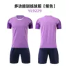 YL9229 Purple