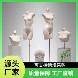 服装店内衣模特道具女半身聚拢文胸橱窗人体男内裤模特批发展示架