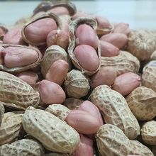 �Ĵ��خa25�����r���������ɻ�����Ȼ����r���ԷN�������N�Ӱ��]