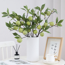 �߷�������֦����5�^�lؔ���ӼҾӿ͏d�����b[������Gֲ���l