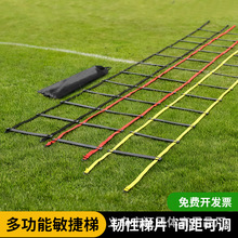 �����݃�ͯ����Ӗ���������\���ۯBܛ���K�ݹ̶��݌��I�w��Ӗ����