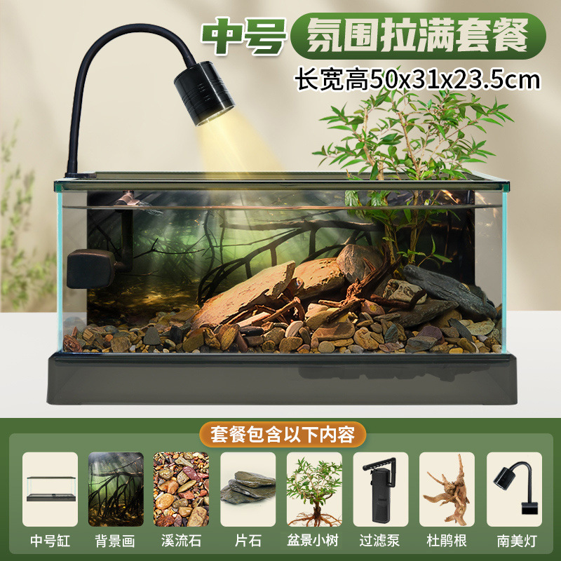 중형 남미 탱크 [조경 패키지 완비] + 선물 패키지