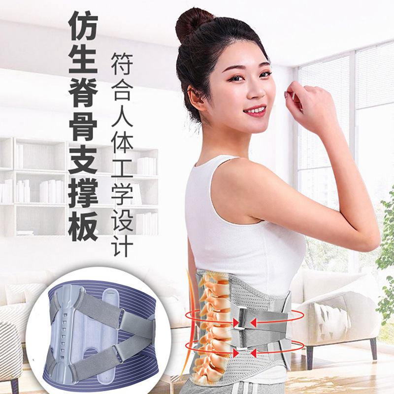 四季対応 薄型腰サポーター 男女兼用 長時間座っても快適 軽量 通気性 腰サポート スポーツ用ベルト|undefined