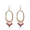 Accessory, retro metal fashionable earrings pomegranate