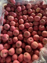 ���������������rˮ�� ��ʿ�O�� �t���O��  ���� �ʹ�������O��