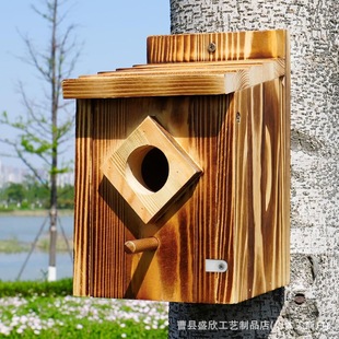 �羳�F؛���lľ���B�Cľ���B����ľ����C�Ғ�ʽ�B���ļ�ͨ��