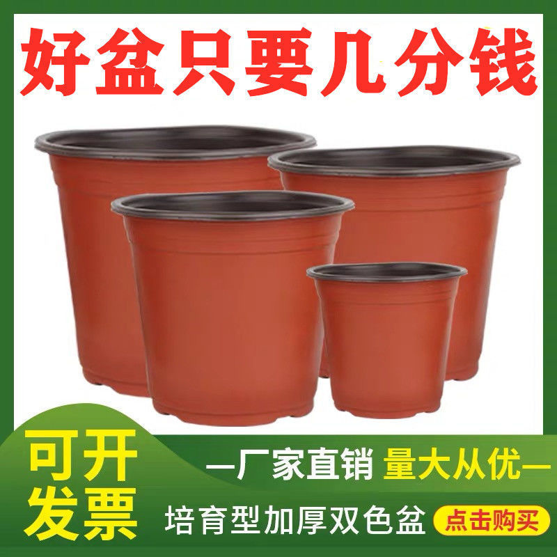 Plastic Flower pot disposable Seedling Basin Simplicity Double color Flower pot flowers and plants Green plant bonsai plant