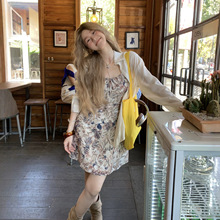 ΢�����ʸ����黨��������ȹŮ��2026�¿��������ݲ������Ƕ�ȹ��