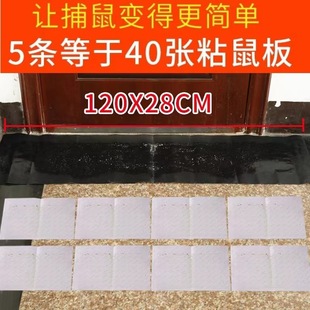 Sticky Mouse Blanket Rat Killer Magic Carpet 1.2m Strong Sticky Mouse Magic Carpet Sticky Mouse Board Wholesale Super Powerful Rat Sticker Large Manufacturer