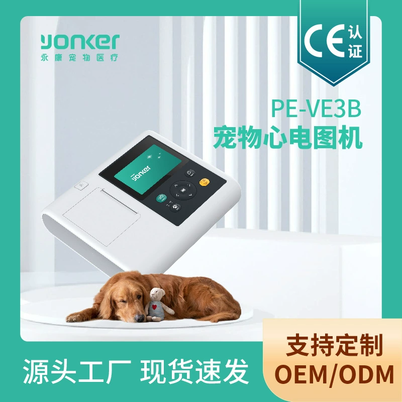 Индивидуальный трансграничный экспорт Yongkang, машина для электрокардиограммы домашних животных PE-VE3B, автоматическая печать литиевой батареи для анализа в реальном времени
