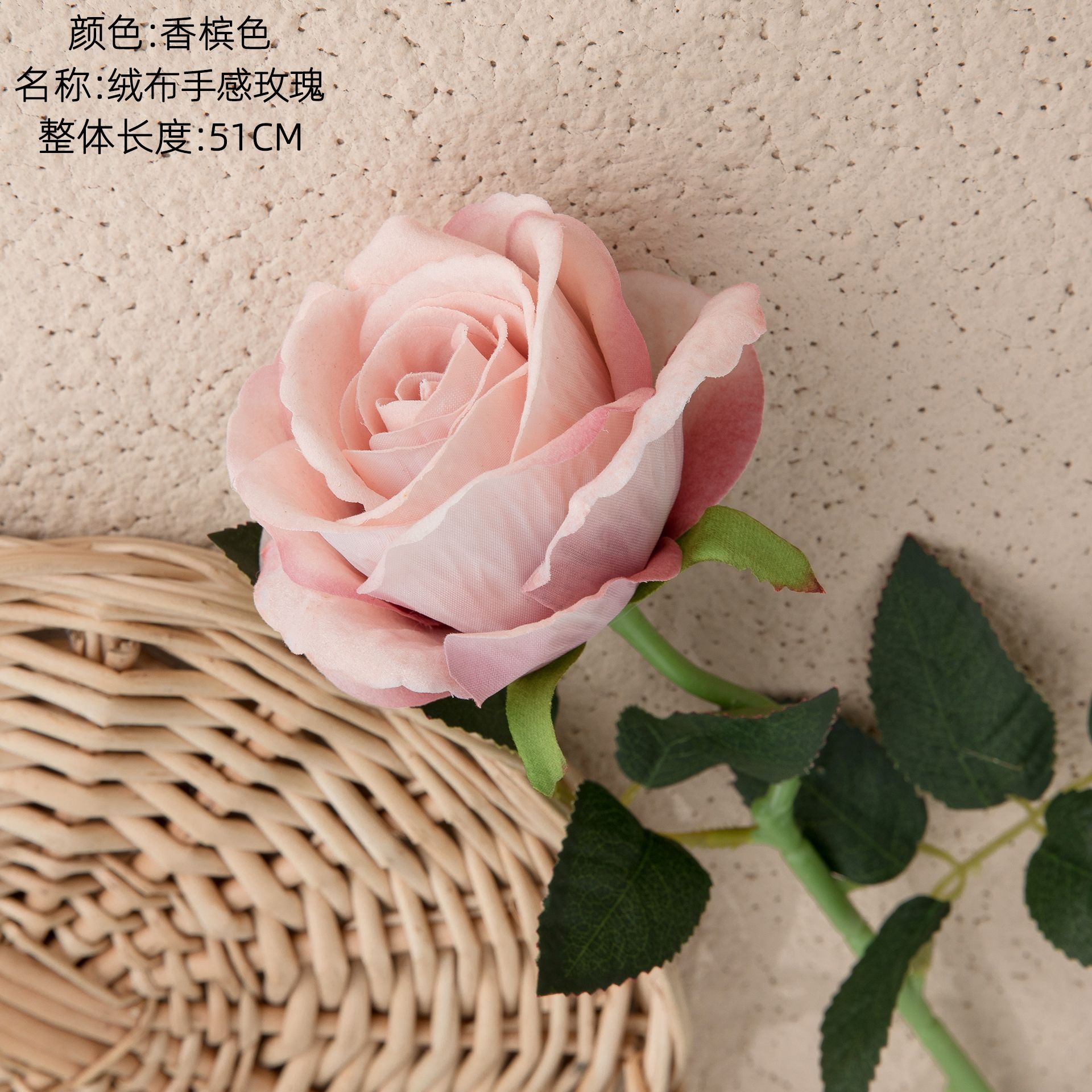 샴페인