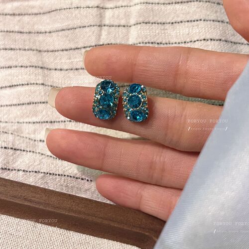 Chic and Minimalist Spring Earrings with Korean Design - Cold Brew Blue High-End Minority Style Ear Studs