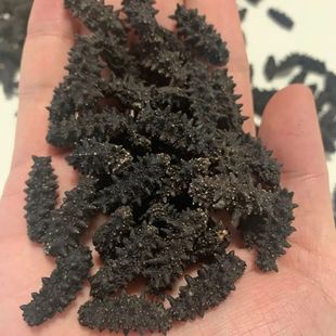 ���_˹Ұ������ԭ�b�M�ڼ����ɺ������t�����Ŵ̺������_˹�M�ں�