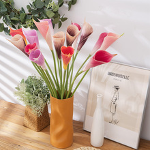 �ӹ�����ֱͲ�R��ɏINS�L���滨�Gֲ��S�Ҽٻ����l��cMW01511