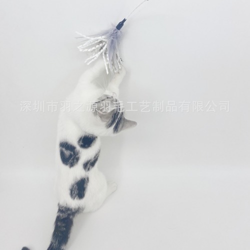 Direct Sales from Starwisecat - Spiral Rod Cat Wand with Natural Multi-Color Firebird Feathers Cat Toy